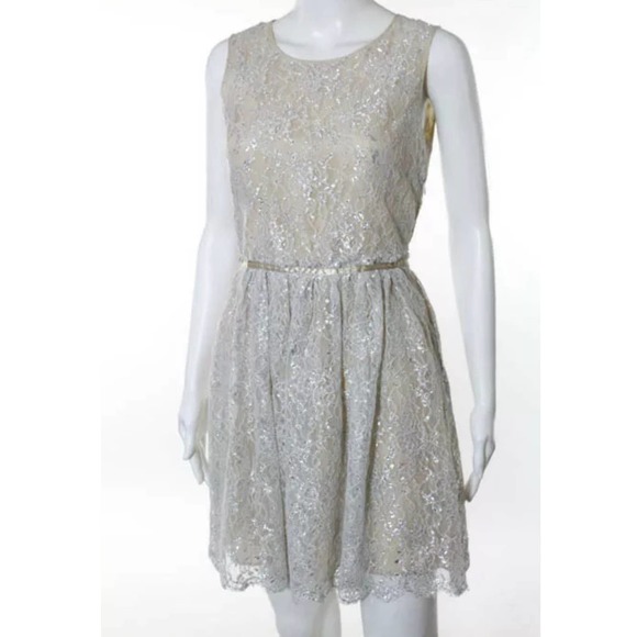 ERIN FETHERSTON SILVER DELICATE DRESS - Picture 2 of 5